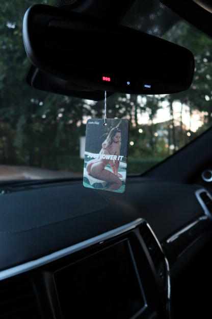 "Just Lower It" Air Freshener